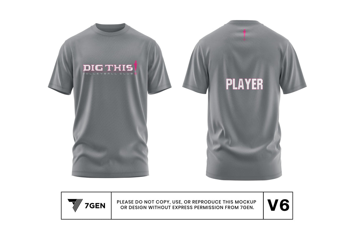 Silver SS Shirt